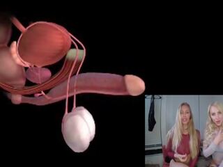 Manlig orgasmen anatomy explained educational joi: fria smutsiga video- 85